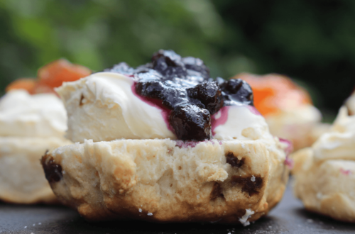 blue berry scones